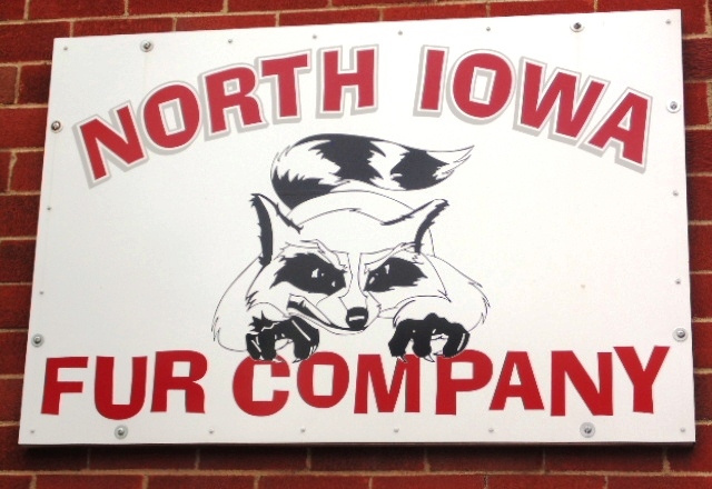 North Iowa Fur Company - Fredericksburg, IA - Buyer of Fur and Deer Hides